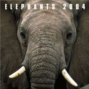  Elephants 2004 Calendar (9780763161156) Books