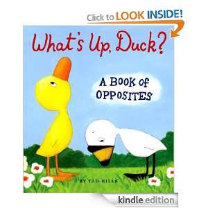 Whats Up, Duck? A Book of Opposites (Duck & Goose) Tad Hills 