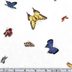  45 Wide Beary Berry Patch Butterflies White Fabric By 