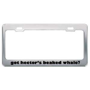 Got HectorS Beaked Whale? Animals Pets Metal License Plate Frame 