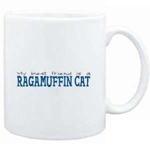   My best friend is a Ragamuffin  Cats 