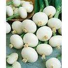 Wax Pearl Onion  Crystal White  25 seeds
