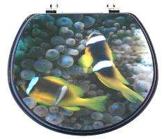 TopSeat 2 Clown Fish 3D Image Custom Toilet Seat W/ Chrome Hinges in 2 