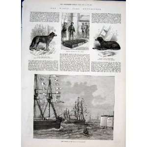  North Pole Expedition Discovery Bay & The Ships 1876
