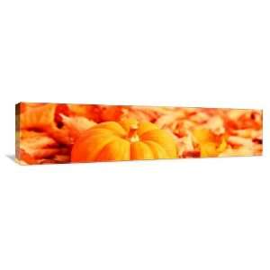  Little Pumpkin and Fall Foliage   Gallery Wrapped Canvas 