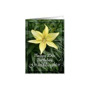  25th Birthday / Granddaughter ~ Yellow Garden Lily Card 