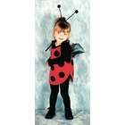 Lady Bug And Costume  