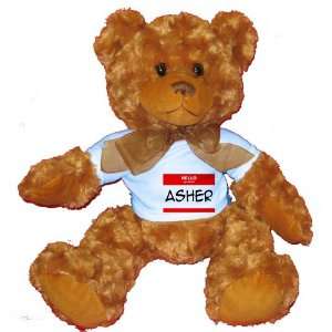  HELLO my name is ASHER Plush Teddy Bear with BLUE T Shirt 