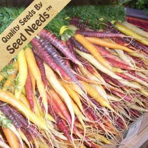  800 Seeds, Carrot Rainbow Blend (Daucus carota) Seeds By Seed 