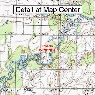  USGS Topographic Quadrangle Map   Hesperia, Michigan 