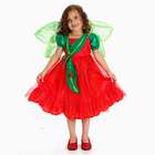 magical fairy costume perfect for halloween or just dress up