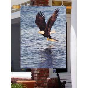  Flying Eagle Fishing Photograph Large Flag Patio, Lawn 