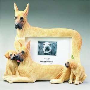  Great Dane (Fawn)   4x6 Picture Frame