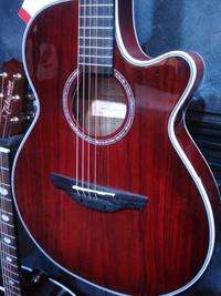 NEW TAKAMINE EG569C Acoustic Electric Thinline Guitar Red  