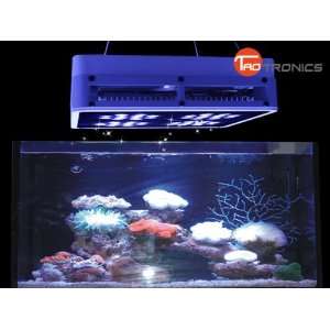   Design LED Aquarium Coral Reef Tank White Blue 11 LED Grow Light 141W
