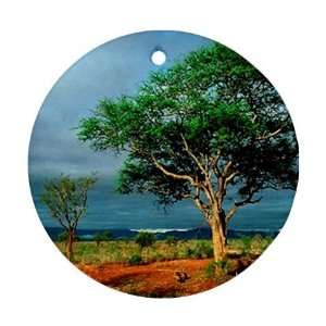 Scenic Nature Photo Ornament round porcelain Christmas Great Gift Idea