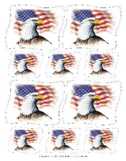 IdeaStix AMERICAN FLAG and BALD EAGLE Mural Stick Ons  
