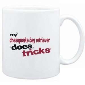    MY Chesapeake Bay Retriever DOES TRICKS  Dogs