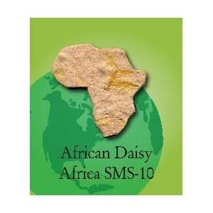  SMS 10    Seeded Mini Africa Daisy