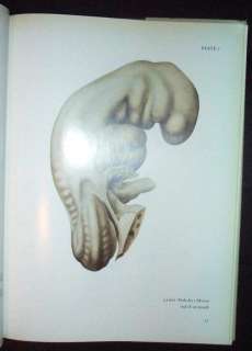 Human Embryo folio, Anatomy Embryology, Blechschmidt  