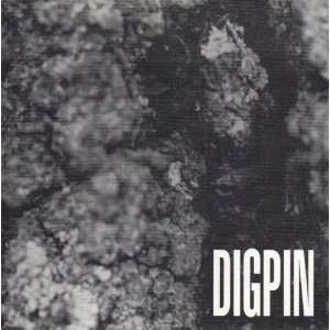  DIGPIN DIGPIN DEBUT CD DIGPIN Music
