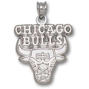    Sterling Silver Chicago Bulls Logo Pendant GEMaffair Jewelry
