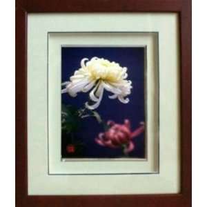  Framed Chinese Silk Embroidery White Chrysanthemum 11x12 