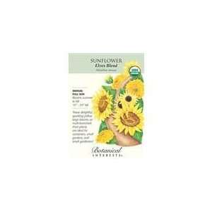  Botanical Interest   Sunflower Elves Blend (Certified 