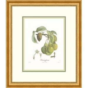  Pears/Frangipane by Francois Langlois   Framed Artwork 