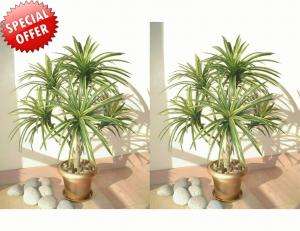 foliage heads in varying sizes with 220 textile leaves which are 