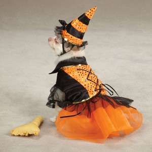  Spellhound Witch Halloween Dog Costume w/Hat and FREE Broom Toy  