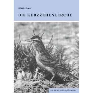 Die Kurzzehenlerche. Calandrella brachydactyla Leisler  