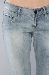 NYC Boutique The Dainty Jean  Karmaloop   Global Concrete 