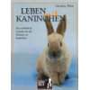   das Kaninchen Luftsprünge macht  Anne Warrlich Bücher