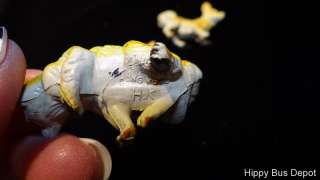   Miniature HONG KONG Animal LOT of 28 for Nativity Barnyard  