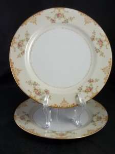   Jyoto Hand Painted Japan 2 Dinner Plates Floral Swags Gold Trim  