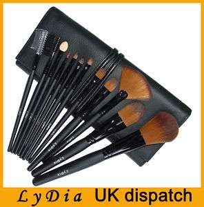 Professional 12pcs Cosmetic Makeup Brush Set of Lydia’s  