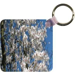  Cherry Blossom Tree Branches Art Key Chain   Ideal Gift 