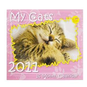  My Cats 2011 Calendar   16 Month Calendar