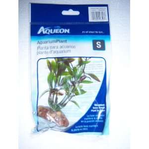  Aqueon 09603 Feather Maroon Aquarium Plant, 6 Inch Pet 