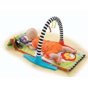 Fisher Price Zoo Friends Musical Gym Baby