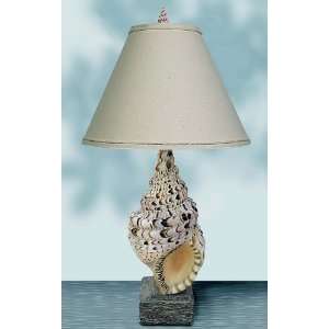  Tempo Lighting Conch Seashell Table Lamp