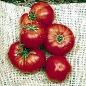   Lebanese Tomato 35 Seeds  Heirloom Beefsteak Patio, Lawn & Garden