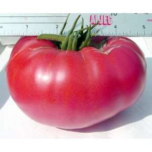   Mennonite Tomato   20 Seeds   Pink Beefsteak Patio, Lawn & Garden