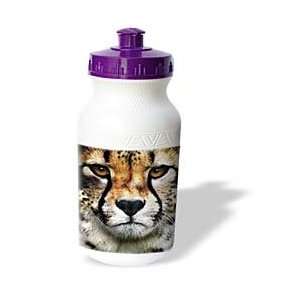 Susan Brown Designs Animal Themes   Cheetah Face   Water Bottles 