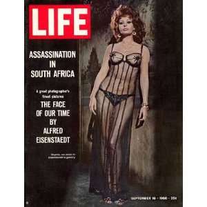  Sophia Loren by Alfred Eisenstaedt. Size 8.00 X 10.00 Art 