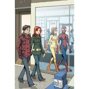   Mary Jane #18 Cover Spider Man by David Hahn, 48x72