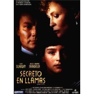  Burning Secret Movie Poster (27 x 40 Inches   69cm x 102cm 