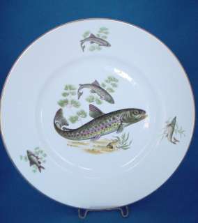 Fish Plate (English Bone China) and Fish Platter (Pall Mall Ware) for 