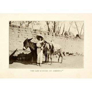 1908 Print Sombrero Burro Donkey Costume Mexico Saddle Wall Sandals 